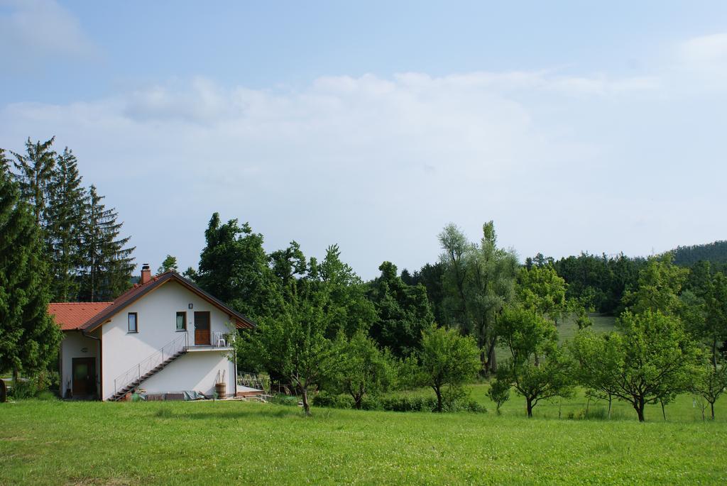 Apartments Leni Postojna Luaran gambar