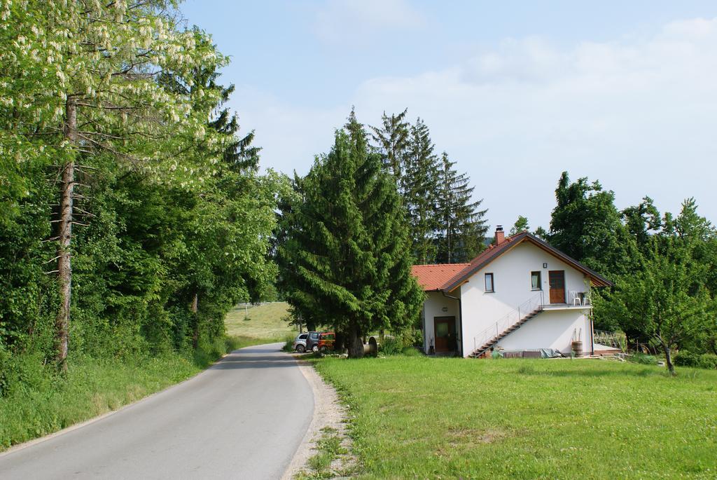 Apartments Leni Postojna Luaran gambar